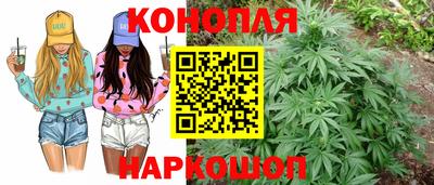 эйфоретик Пугачёв