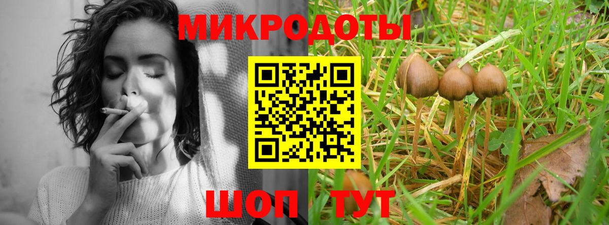 Галлюциногенные грибы Psilocybe  Вход с VPN  где продают наркотики  Ржев 