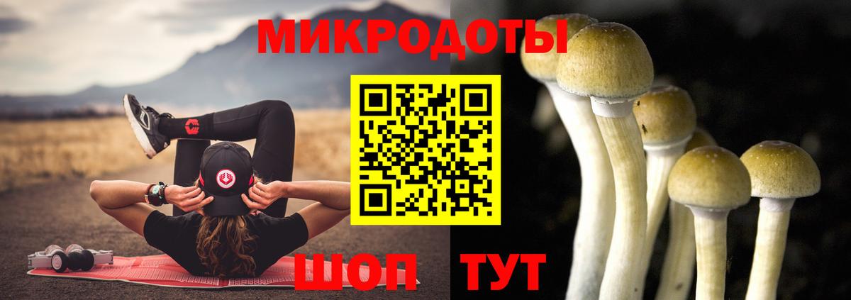 Галлюциногенные грибы прущие грибы Ржев